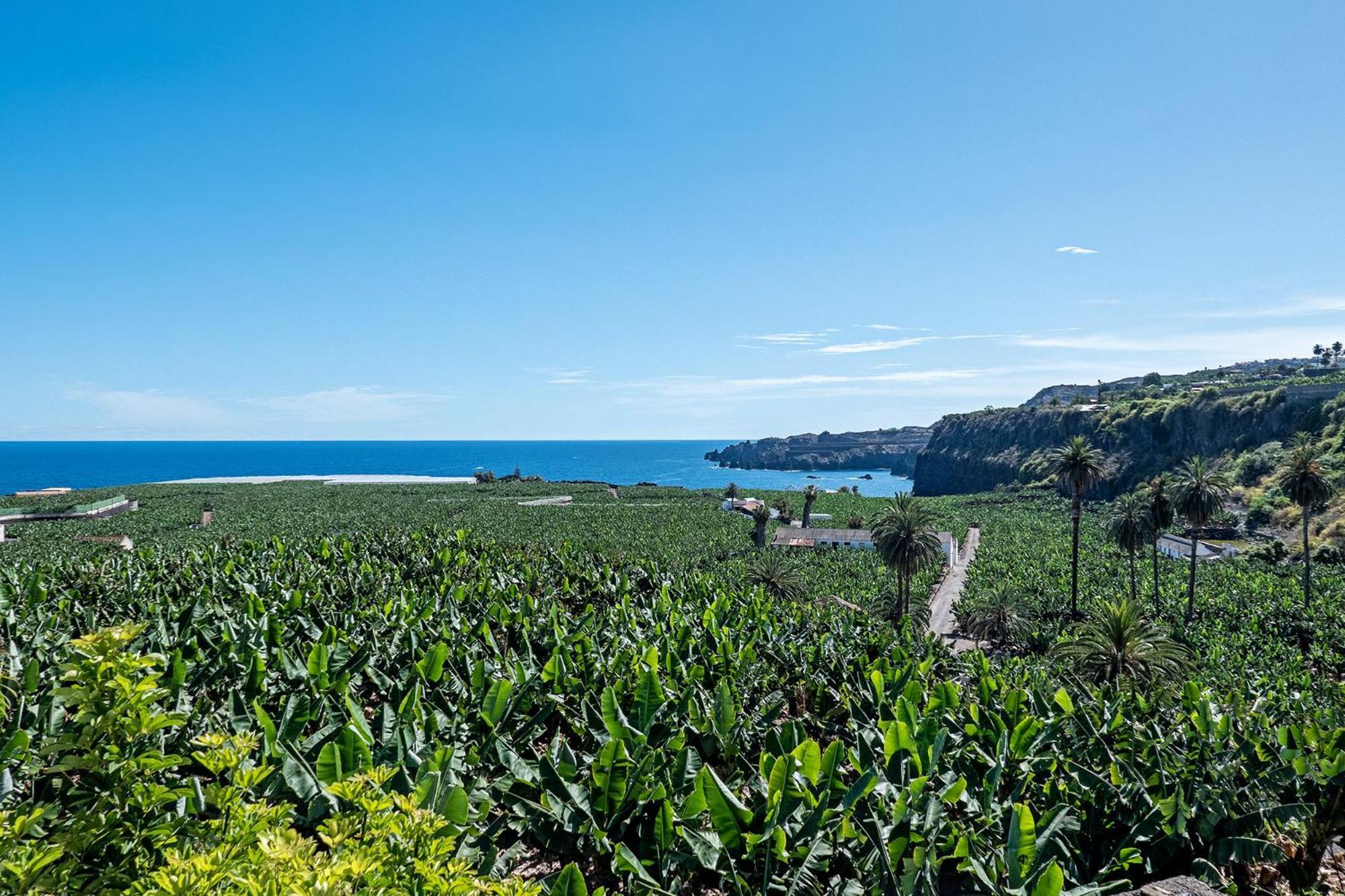 Terrazas Malpais - El Guincho, Garachico Apartment การาชิโก ภายนอก รูปภาพ